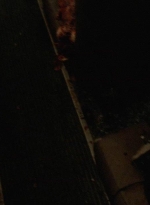 twd0410-1385.jpg