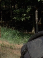 twd0410-1969.jpg