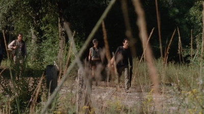 twd0411-2005.jpg