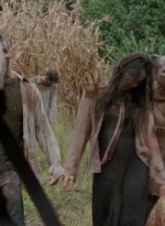twd0411-1464.jpg