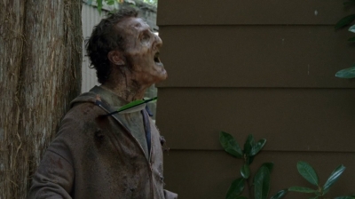 Click to view full size image
==============
twd0412-1566.jpg twd0412-1566.jpg