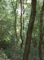 twd0412-1142.jpg