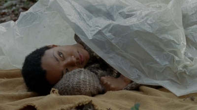 twd0413-1008.jpg