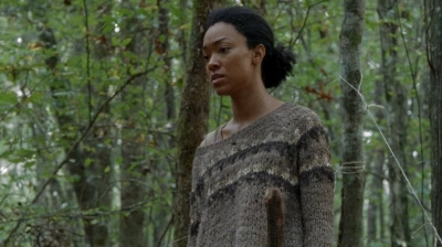 twd0413-1046.jpg