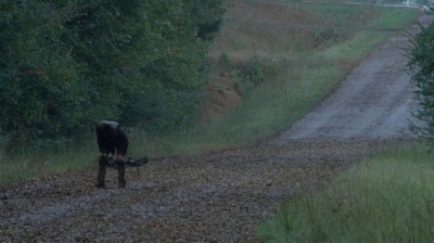 twd0413-1562.jpg