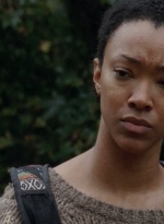 twd0413-0622.jpg
