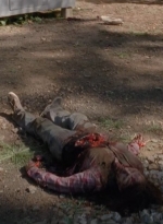 twd0413-1162.jpg