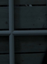 twd0413-1445.jpg