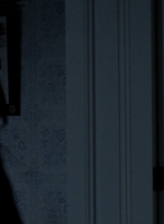 twd0413-1459.jpg