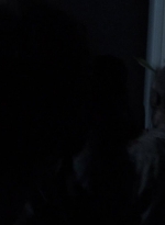 twd0413-1465.jpg