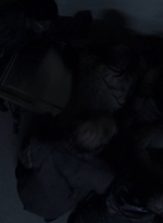 twd0413-1476.jpg