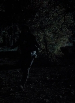 twd0413-1502.jpg
