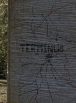 twd0413-2209.jpg