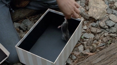 twd0414-1026.jpg