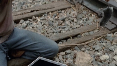 twd0414-1027.jpg