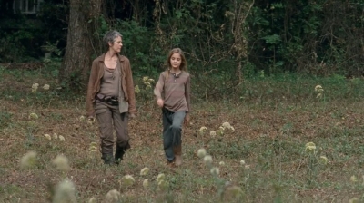 Click to view full size image
==============
twd0414-1804.jpg twd0414-1804.jpg
