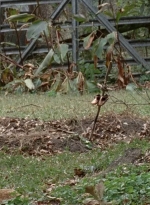 twd0414-0619.jpg