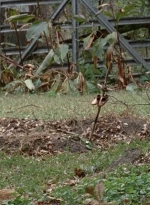 twd0414-0621.jpg