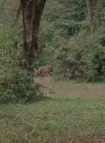 twd0414-0947.jpg
