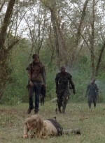 twd0414-1100.jpg