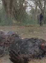 twd0414-1113.jpg
