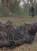 twd0414-1114.jpg
