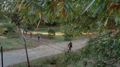 twd0415-0771.jpg