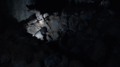 twd0415-1310.jpg