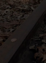 twd0415-0001.jpg