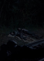 twd0415-0146.jpg