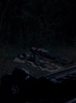 twd0415-0147.jpg