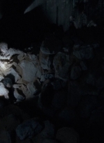 twd0415-1312.jpg