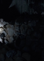twd0415-1313.jpg