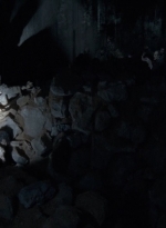 twd0415-1314.jpg