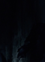 twd0415-1315.jpg