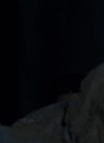 twd0415-1325.jpg