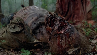 twd0501-1020.jpg