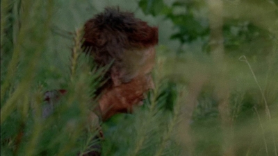 twd0501-1288.jpg