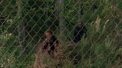 twd0501-1298.jpg