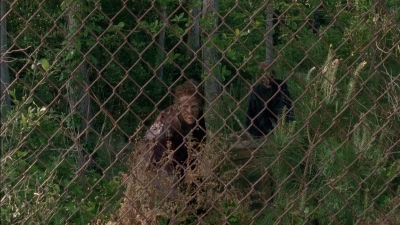 twd0501-1300.jpg
