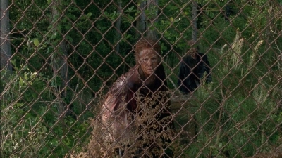 Click to view full size image
==============
twd0501-1302.jpg twd0501-1302.jpg