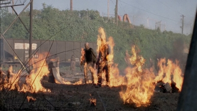 twd0501-1571.jpg