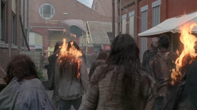 twd0501-1754.jpg