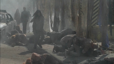 twd0501-2081.jpg