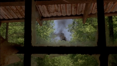 twd0501-2372.jpg