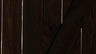twd0501-2468.jpg