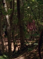 twd0501-0749.jpg
