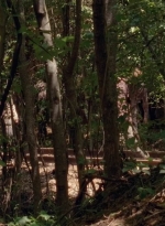 twd0501-0754.jpg