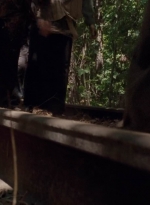 twd0501-0808.jpg