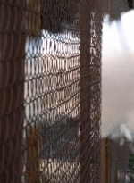 twd0501-1420.jpg